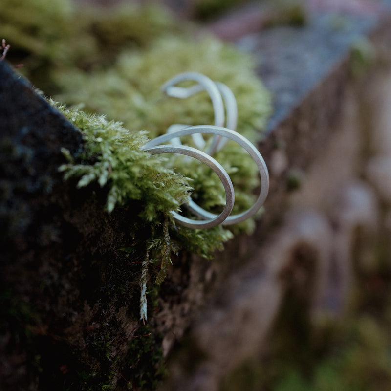 Double Hoop Earrings